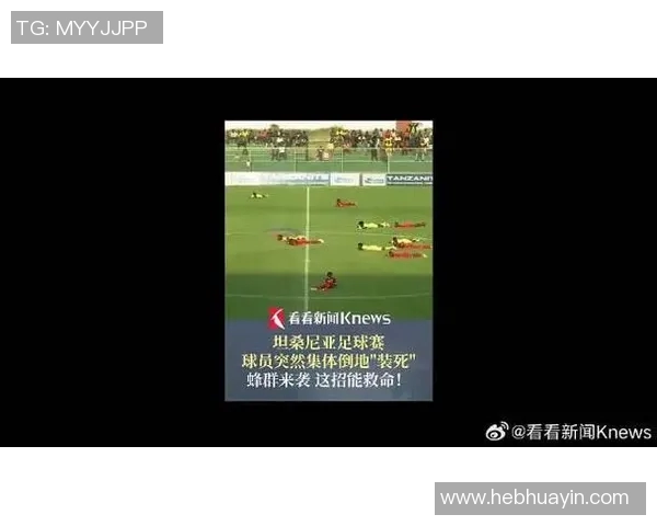 足球球星在比赛中不幸身亡引发全球哀悼与安全问题讨论