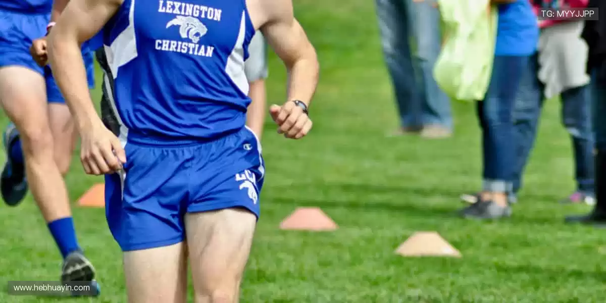 一键解锁赛事门票，畅享现场激情！